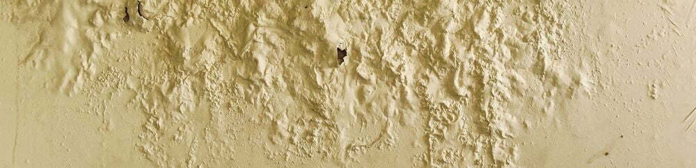moisture in walls and ceiling