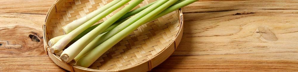 edible garden - lemongrass