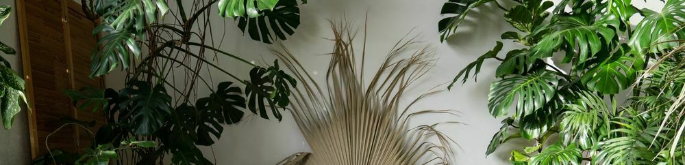 indoor gardening