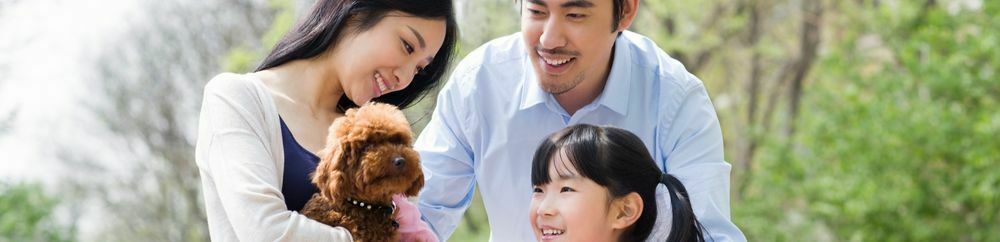 happy family without pest 