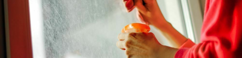 maid cleaner Klang
