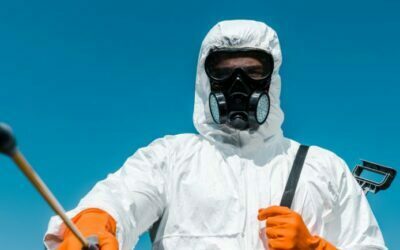 Bidding Farewell to Bed Bugs: Effective Methods for Elimination