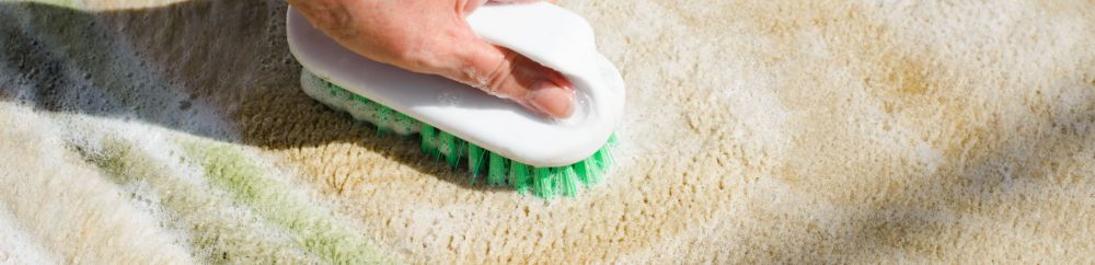 carpet washer