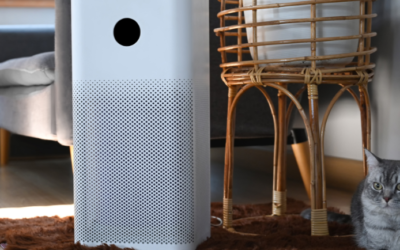 Top 6 Air Purifiers in Malaysia – Comparison & Review