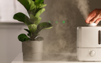 Air Purifier vs. Air Humidifier: Which One to Get in Malaysia
