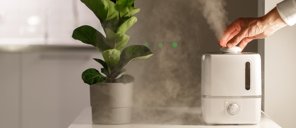 air purifier vs air humidifier