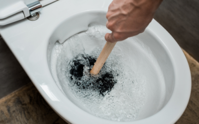 Guide: How to Unclog a Toilet