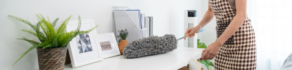 How to reduce dust at home